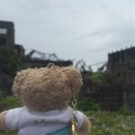 11261627_1620858638200714_29339746_a