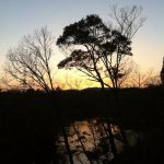 10948998_318154765058213_1818857541_a