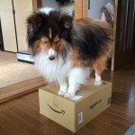 10735173_1549855961916198_1930956645_a