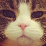 891439_1525947867625239_1885618365_a