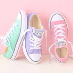 11357676_659103930891341_1949672418_a