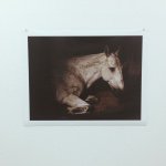 10890645_1528576094086817_1754982694_a