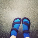 11189309_1567155783546037_924101385_a