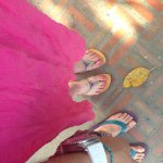 11236066_705776032860217_2062569477_a