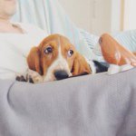 10518202_1593454727535467_1125806919_a