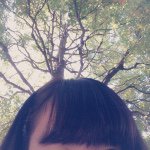 11375942_986377078048135_2121425869_a