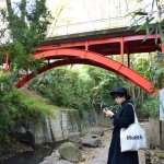 10946332_308221109374678_242282423_a