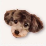 10932470_540648306038610_2018790776_a