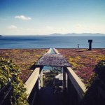 11208623_1005711152773342_1123208391_a