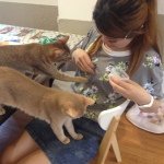 Profile_1293508636_75sq_1398645097