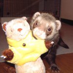 Profile_377295057_75sq_1368481905