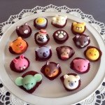 10326390_536287239815134_743757994_a