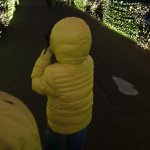 11049198_1498194393770041_323489159_a