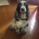 10735475_1532655906951678_1285055254_a