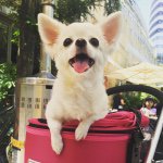 11324390_380151628842780_1598008929_a