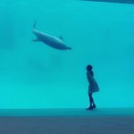 10011404_799442160150543_209071020_a