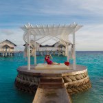 11226675_1439719613008511_238567098_a