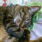 Profile_678569445_75sq_1390723258