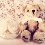 924714_1628603774025554_216845037_a