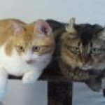 Profile_871263630_75sq_1388243248