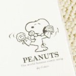 11232866_1455439311413971_84609469_a