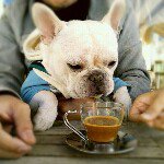 Profile_32320961_75sq_1359020916