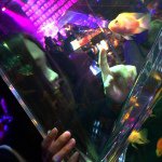 10013101_359988577482242_1336224930_a