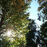 10748124_722408001174248_1520690218_a