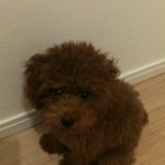 Profile_709834_75sq_1289984668