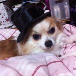 Profile_296765461_75sq_1383822421