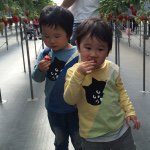 10724948_1623623124527460_967332379_a