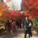 10898994_755286094548958_523269416_a