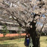 11055769_972658392774641_704192861_a