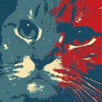 914381_251780455013745_552029331_a