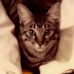 Profile_221012827_75sq_1371365661