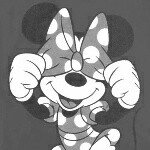 10914317_660252000763544_74848552_a