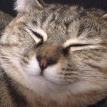 10964100_1583287078554730_1520798756_a