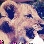 925065_1449444318668828_426761250_a