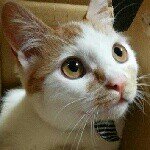 Profile_930968146_75sq_1397301669