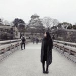 11199474_104285406571067_806253202_a