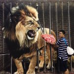 10860116_795178047208647_72380543_a