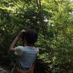 924701_1495152917373918_377142376_a