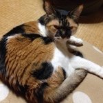 Profile_1304915926_75sq_1399101990