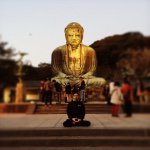 10963997_878648132196449_840157120_a