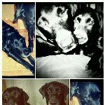 Profile_1245219871_75sq_1396779457