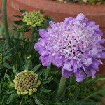 Profile_1224440135_75sq_1396152624