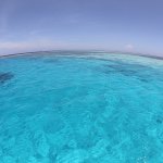 11049420_1553987248201510_983458632_a