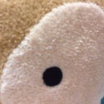 11199580_1639428426272179_292892855_a