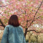 11084737_347328795465795_1059505830_a