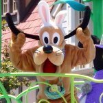 10731559_838675236153526_1792771508_a